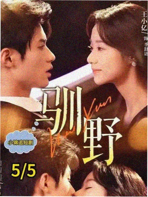 档案002卧龙岫斜干式小叶长果老桩全貌